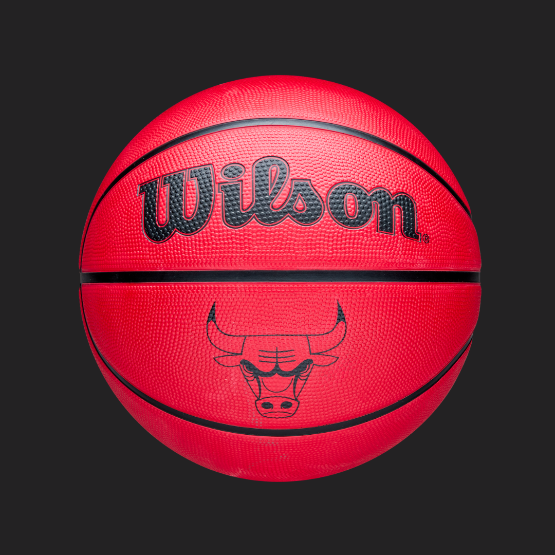 Pallone da minibasket WILSON NBA Team Tribute Solid - 10 Pz (18,00 € cad.)