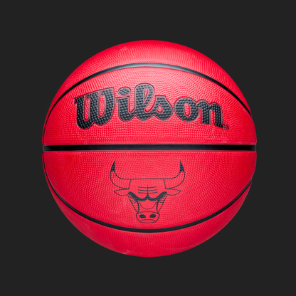 Pallone da minibasket WILSON NBA Team Tribute Solid - 10 Pz (18,00 € cad.)