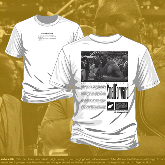 SMALL FORWARD BaskStage Ron Artest
