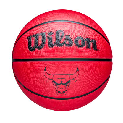 Pallone da minibasket WILSON NBA Team Tribute Solid - 20 Pz (16,00 € cad.)
